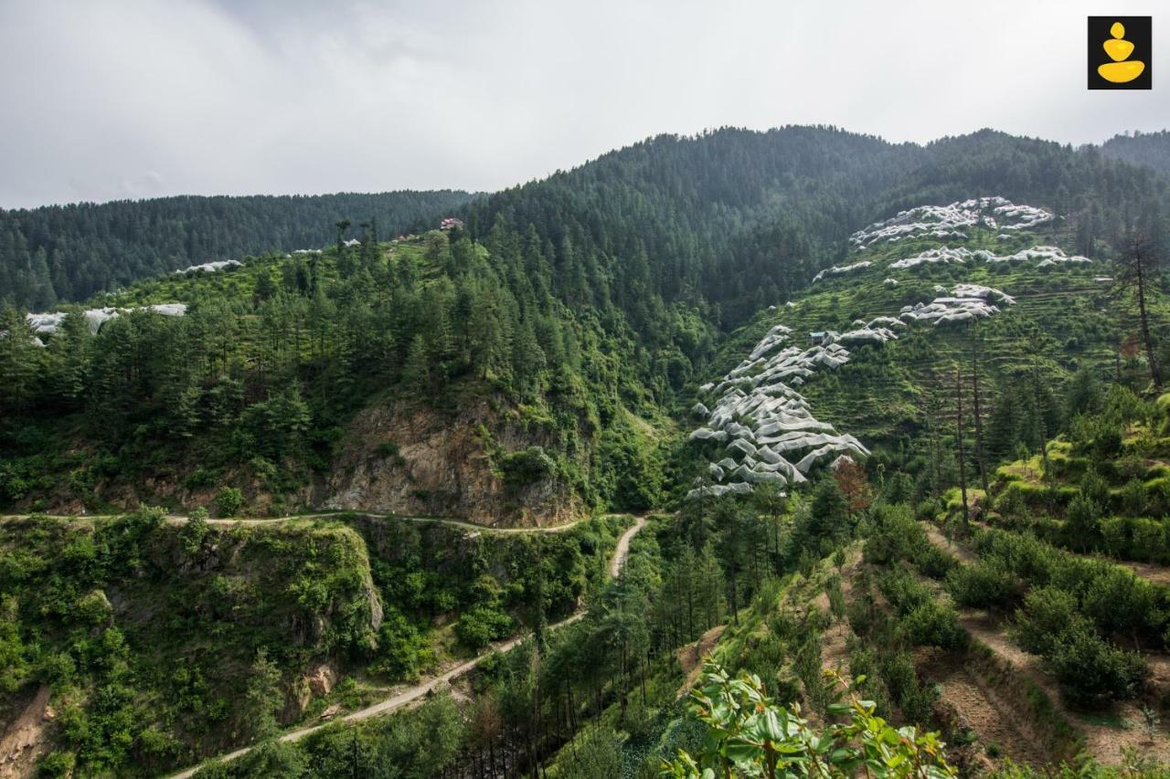 Livingstone Ojuven Treehouses Shimla Exterior photo