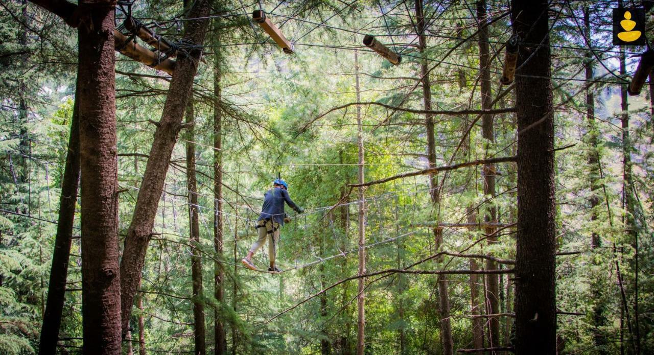 Livingstone Ojuven Treehouses Shimla Exterior photo